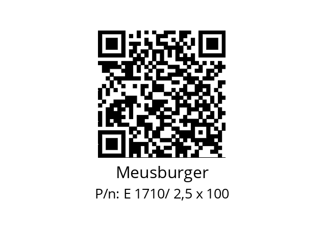   Meusburger E 1710/ 2,5 x 100