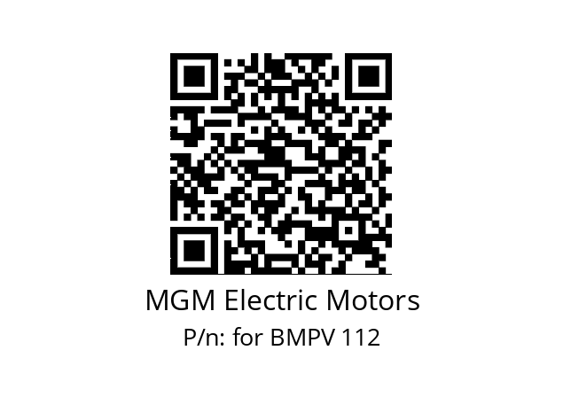   MGM Electric Motors for BMPV 112