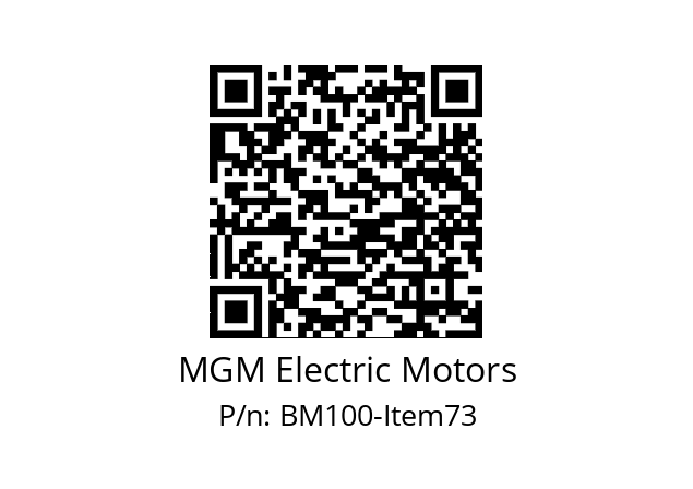  BM 100 MGM Electric Motors BM100-Item73