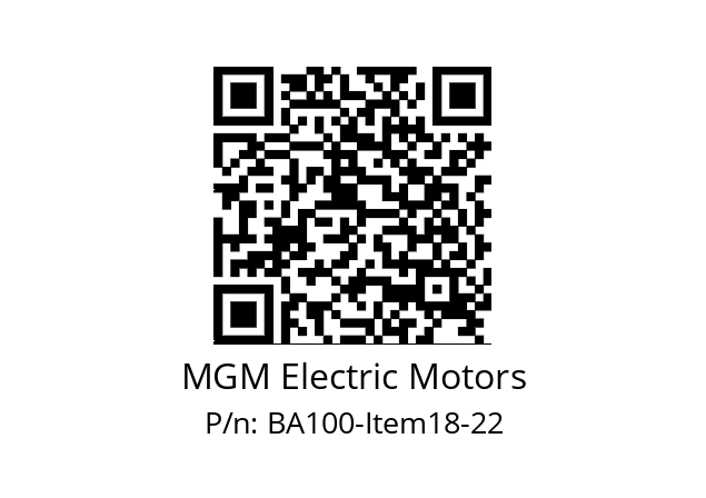   MGM Electric Motors BA100-Item18-22