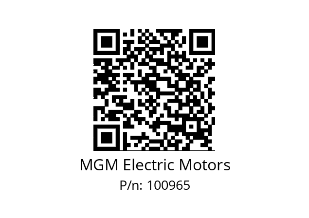   MGM Electric Motors 100965