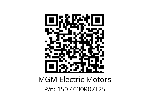   MGM Electric Motors 150 / 030R07125