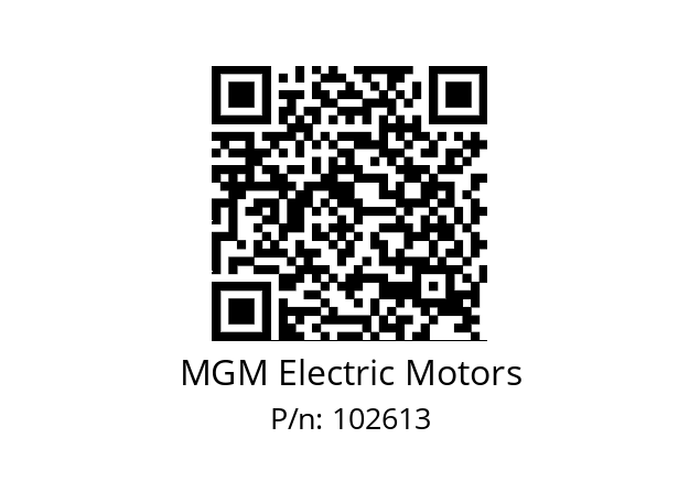   MGM Electric Motors 102613