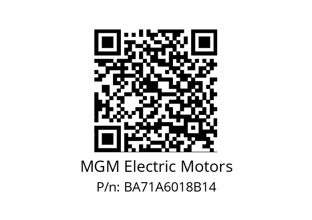   MGM Electric Motors BA71A6018B14