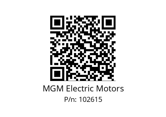   MGM Electric Motors 102615