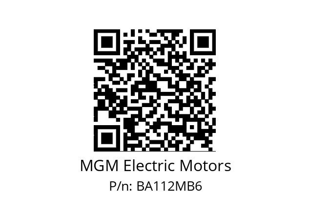   MGM Electric Motors BA112MB6