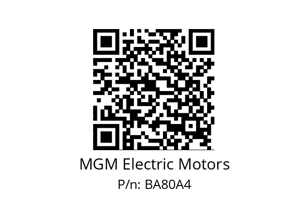   MGM Electric Motors BA80A4