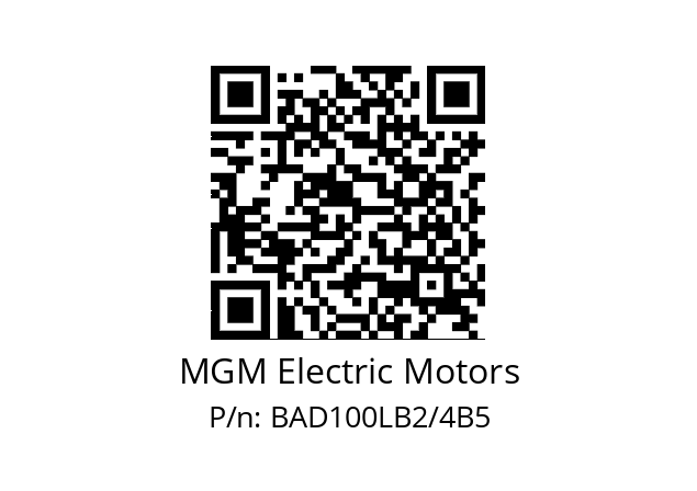   MGM Electric Motors BAD100LB2/4B5