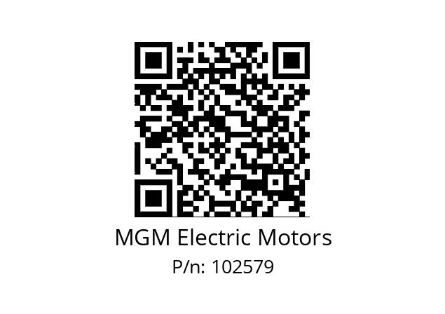   MGM Electric Motors 102579