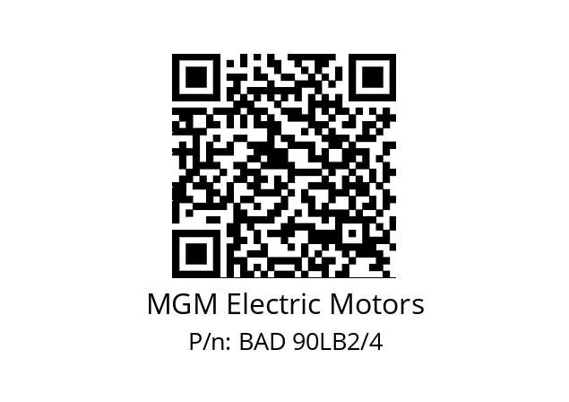   MGM Electric Motors BAD 90LB2/4