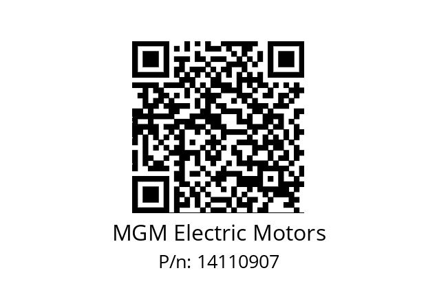   MGM Electric Motors 14110907