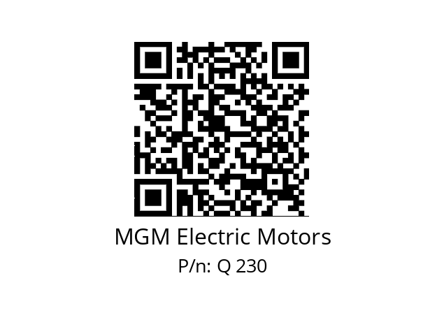   MGM Electric Motors Q 230