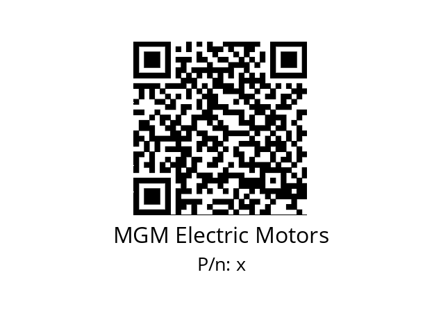   MGM Electric Motors х