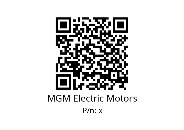   MGM Electric Motors х