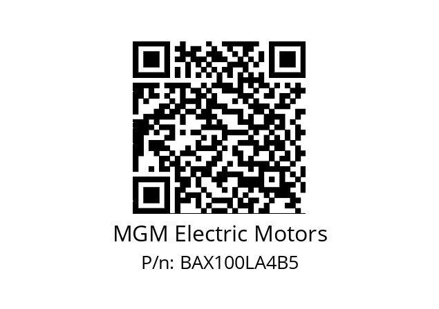   MGM Electric Motors BAX100LA4B5