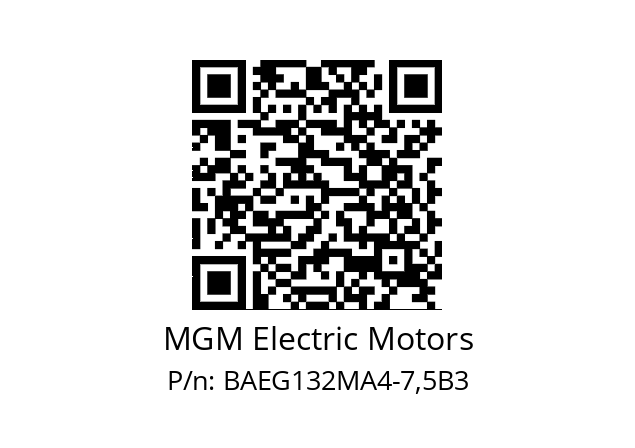   MGM Electric Motors BAEG132MA4-7,5B3