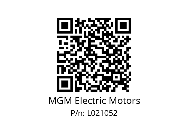   MGM Electric Motors L021052