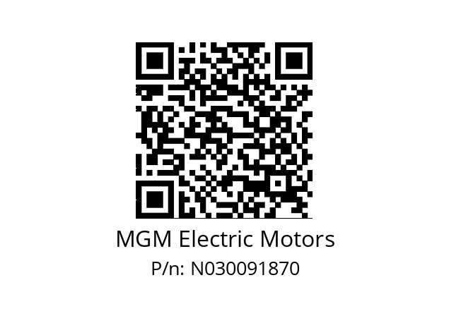   MGM Electric Motors N030091870