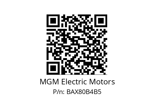   MGM Electric Motors BAX80B4B5