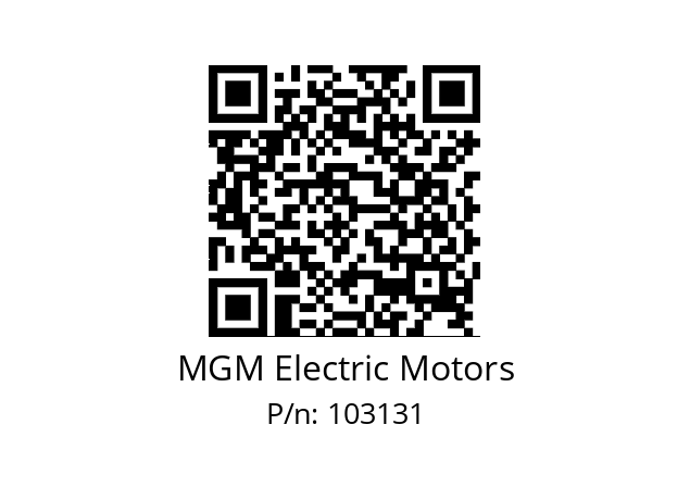   MGM Electric Motors 103131