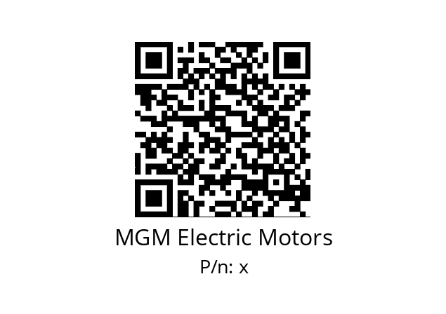   MGM Electric Motors х