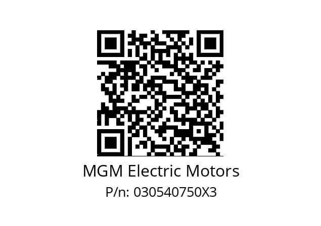   MGM Electric Motors 030540750X3