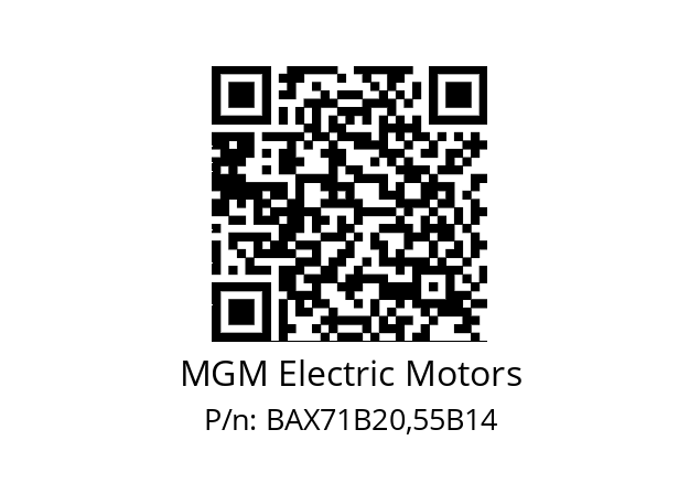   MGM Electric Motors BAX71B20,55B14