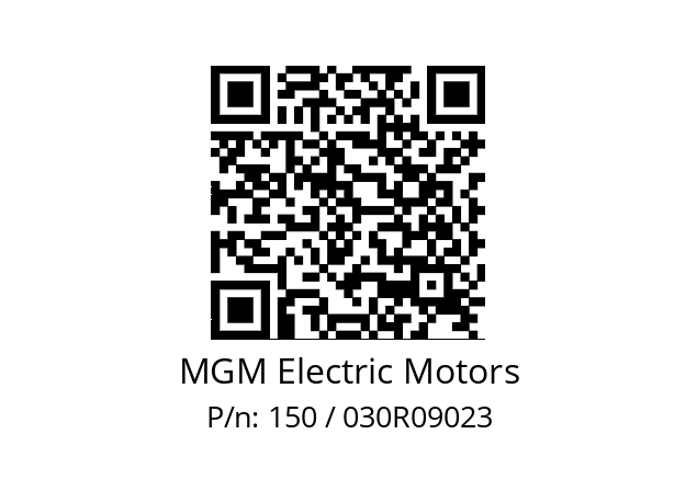   MGM Electric Motors 150 / 030R09023