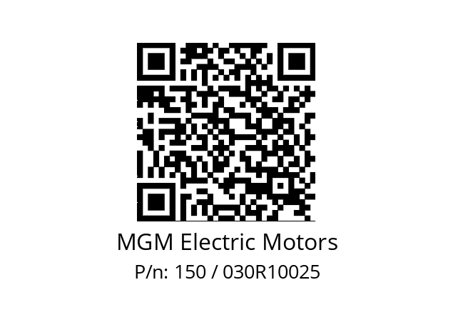   MGM Electric Motors 150 / 030R10025