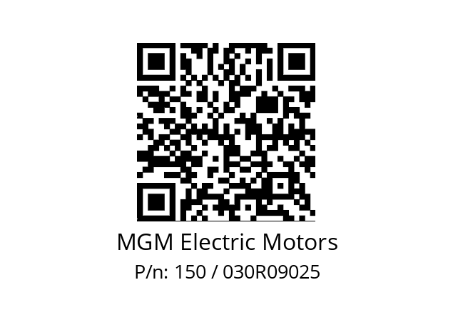   MGM Electric Motors 150 / 030R09025