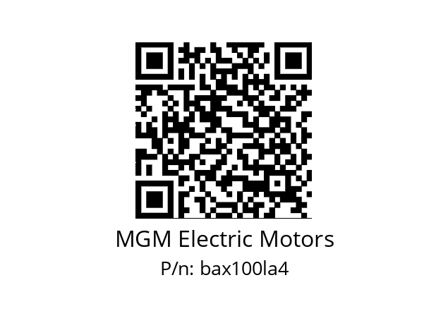   MGM Electric Motors bax100la4