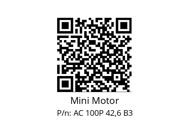   Mini Motor AC 100P 42,6 B3