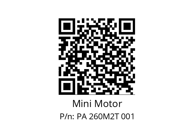   Mini Motor PA 260M2T 001