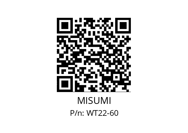   MISUMI WT22-60