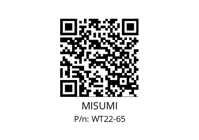   MISUMI WT22-65