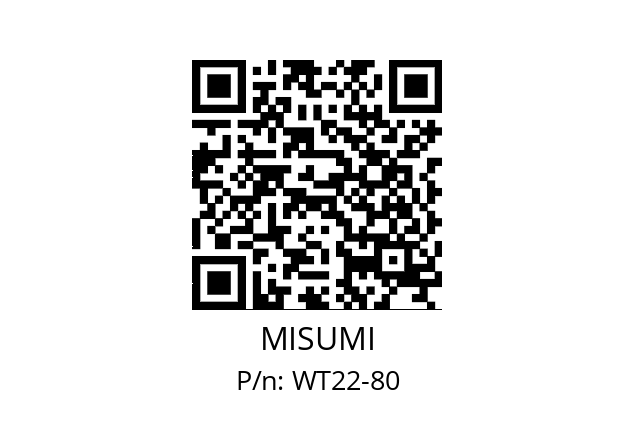   MISUMI WT22-80