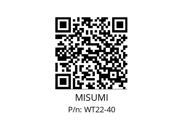   MISUMI WT22-40