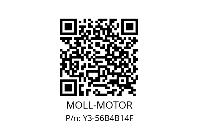   MOLL-MOTOR Y3-56B4B14F