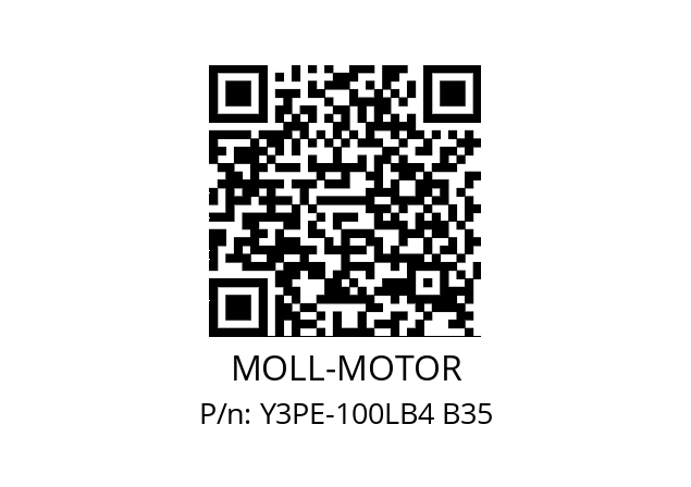   MOLL-MOTOR Y3PE-100LB4 B35