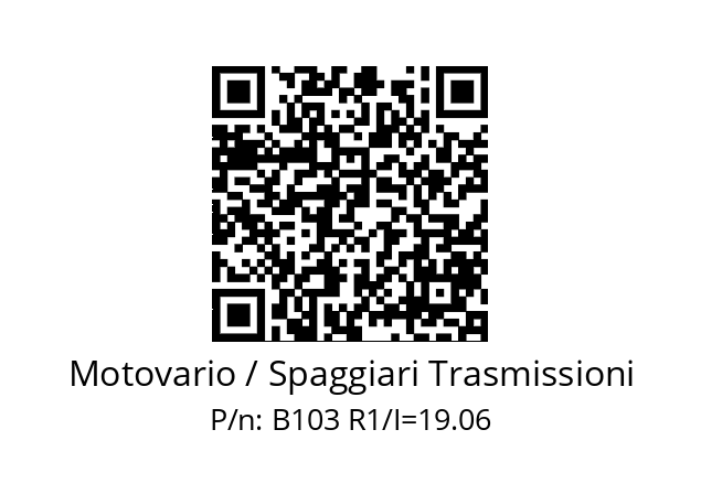   Motovario / Spaggiari Trasmissioni B103 R1/I=19.06