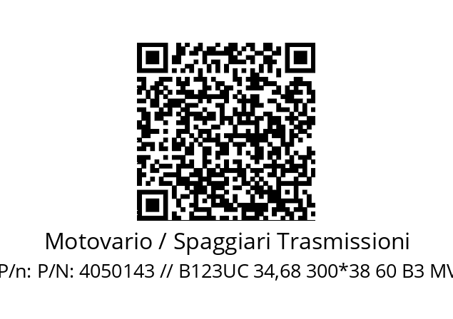   Motovario / Spaggiari Trasmissioni P/N: 4050143 // B123UC 34,68 300*38 60 B3 MV