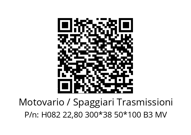   Motovario / Spaggiari Trasmissioni H082 22,80 300*38 50*100 B3 MV