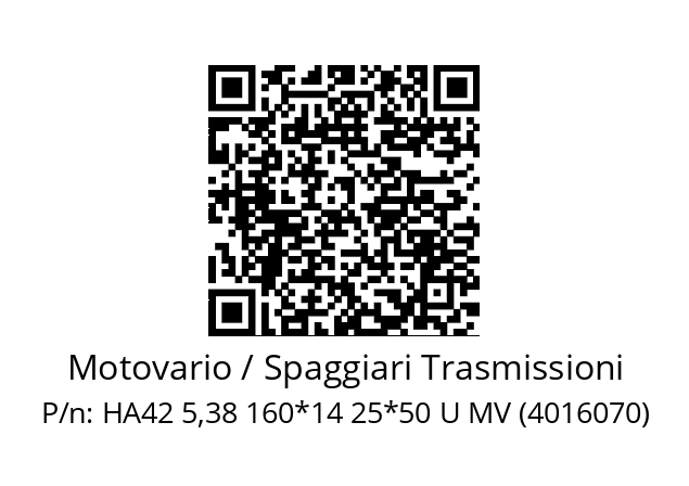   Motovario / Spaggiari Trasmissioni HA42 5,38 160*14 25*50 U MV (4016070)