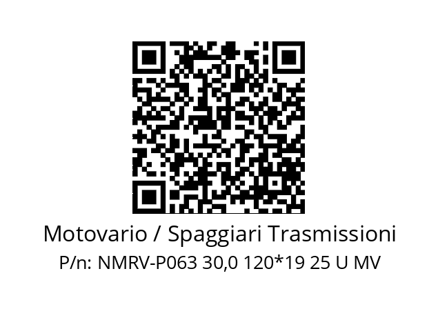   Motovario / Spaggiari Trasmissioni NMRV-P063 30,0 120*19 25 U MV