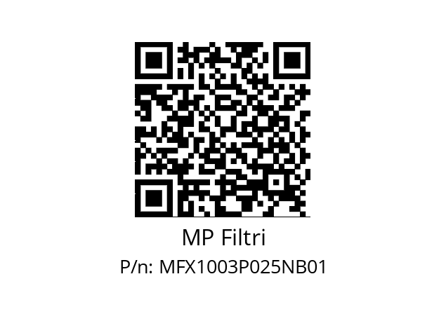   MP Filtri MFX1003P025NB01