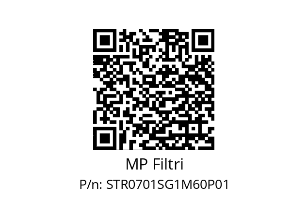  STR-070-1-S-G1-M60-P01 MP Filtri STR0701SG1M60P01