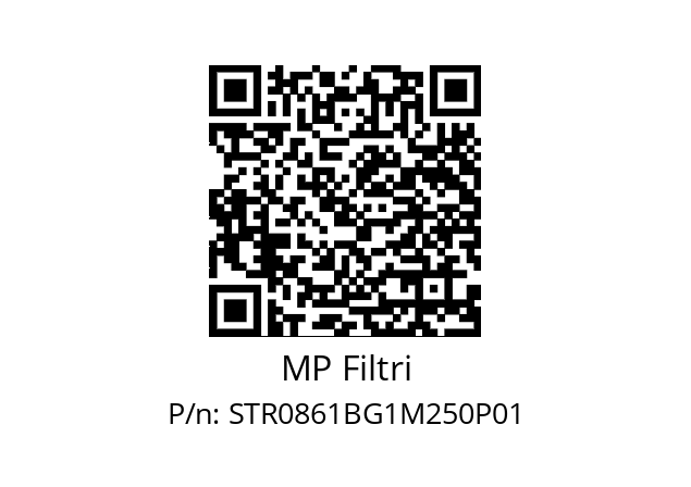  STR-086-1-B-G1-M250-P01 MP Filtri STR0861BG1M250P01