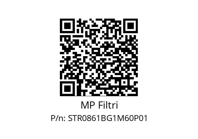  STR-086-1-B-G1-M60-P01 MP Filtri STR0861BG1M60P01