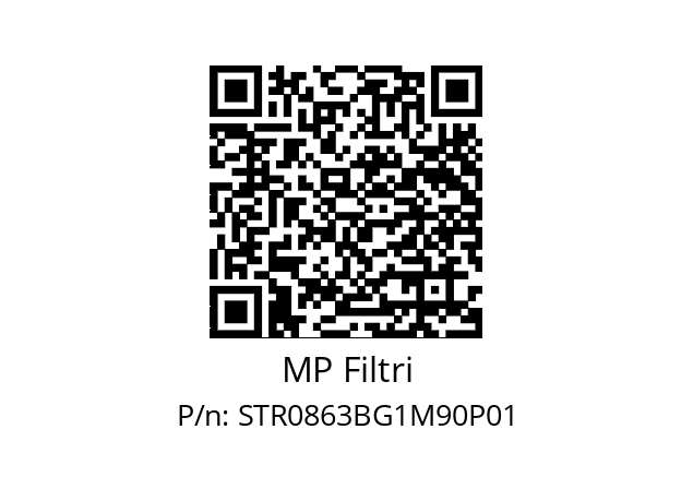  STR-086-3-B-G1-M90-P01 MP Filtri STR0863BG1M90P01