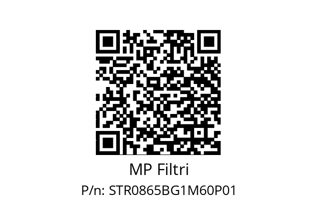  STR-086-5-B-G1-M60-P01 MP Filtri STR0865BG1M60P01